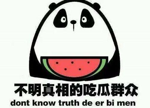 吃瓜娱乐图片高清壁纸